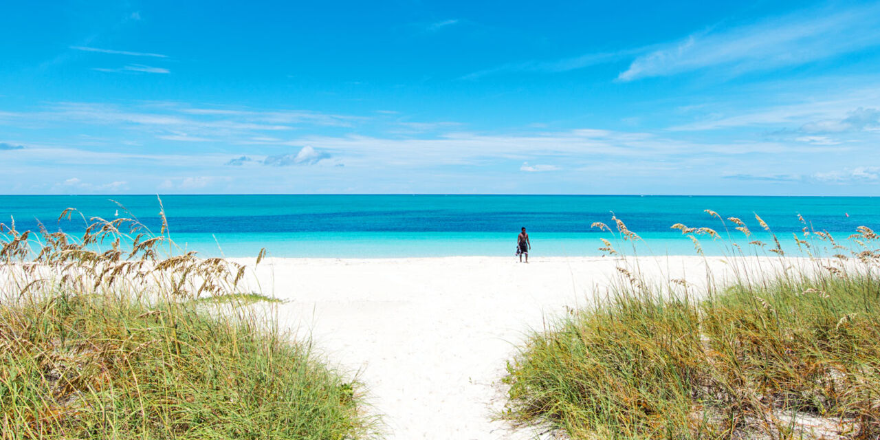 The Bight Beach